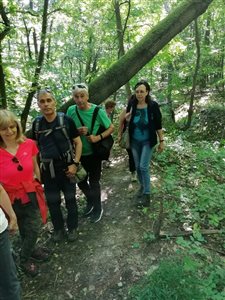 img 20220611 094347 resize