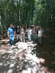 img 20220903 141207 resize
