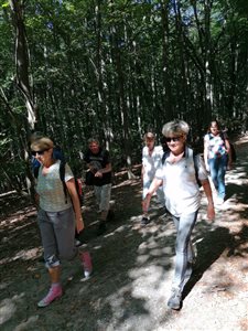 img 20220903 141216 resize