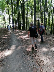 img 20220903 141306 resize
