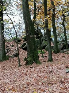 img 20221105 142316 resize