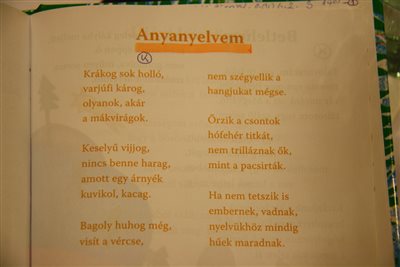 IMG 1264 resize