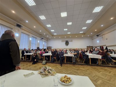 bojte csaba114 resize