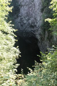 img 4155