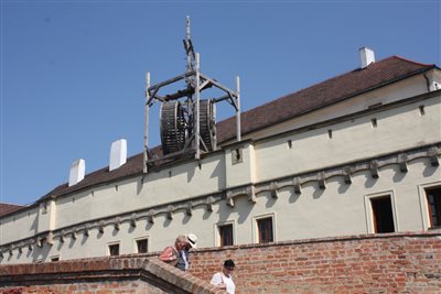 img 4160