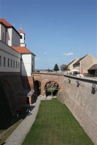 img 4165