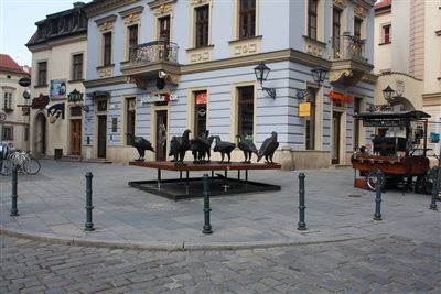 img 4192
