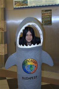 IMG 3894