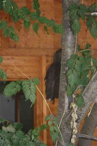 IMG 5540