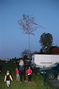img 1256 resize