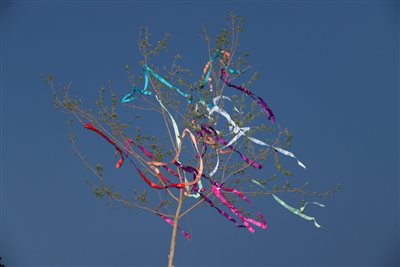 img 1258 resize