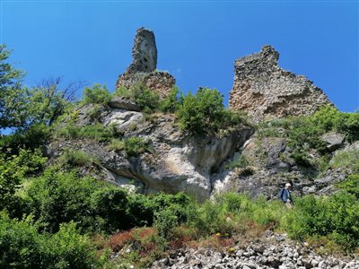 fotó tőle  786 637  10 resize