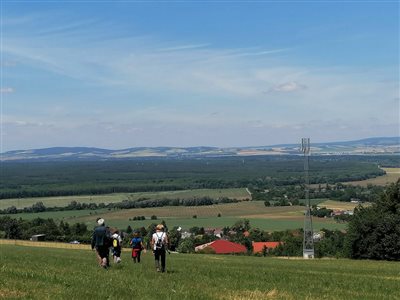 fotó tőle  786 637  16 resize