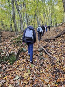 img 20251025 wa0006 resize