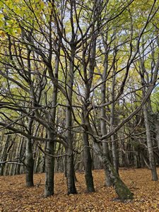 img 20251025 wa0009 resize