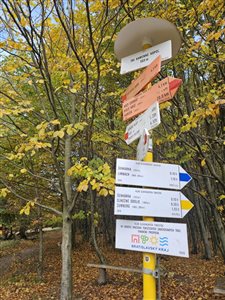 img 20251025 wa0015 resize