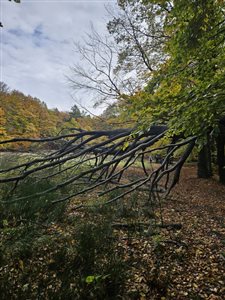 img 20251025 wa0016 resize