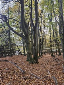 img 20251025 wa0017 resize