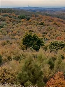 img 20251025 wa0025 resize