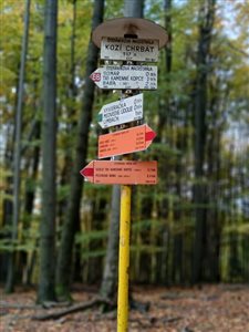 img 20251025 wa0036 resize