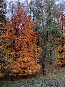 img 20251025 wa0039 resize