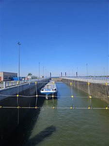 fotó tőle  szabó joli  1 resize