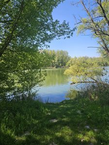 fotó tőle  szabó joli  3 resize