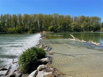 fotó tőle  szabó joli  5 resize