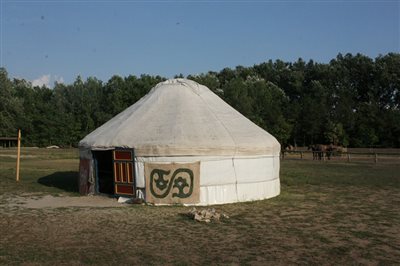 img 0151