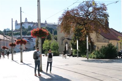 img 3314 resize