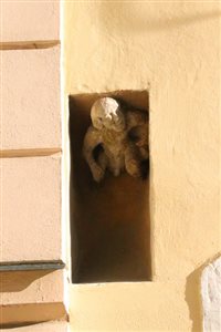 img 3337 resize