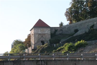 img 3349 resize