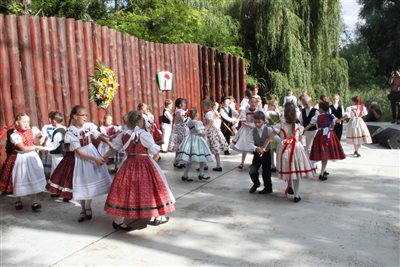 img 8930 resize