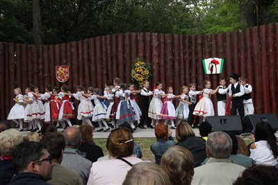 img 8935 resize
