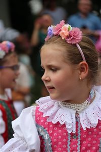 img 2569 resize
