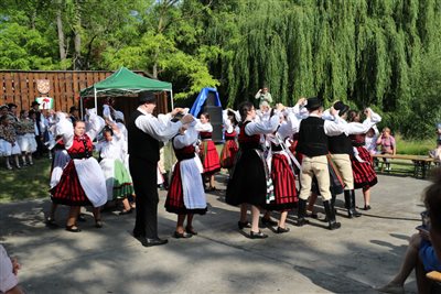 img 2588 resize