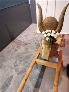 img 20250913 120258 resize