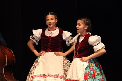 img 1974 resize