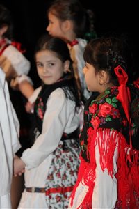 img 4039 resize