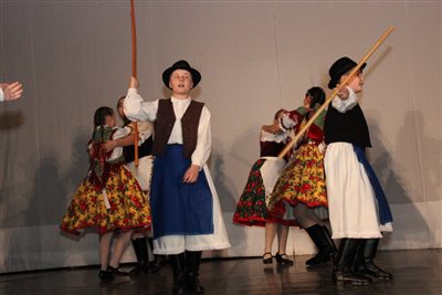 img 0262 resize