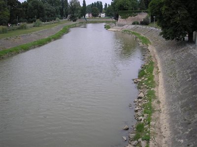 P6200155