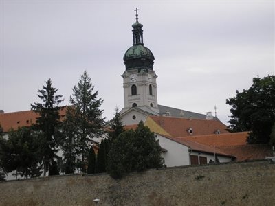 P6200161