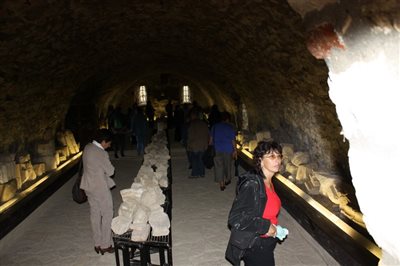 IMG 2435