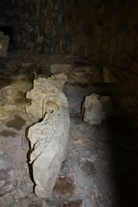 IMG 2441