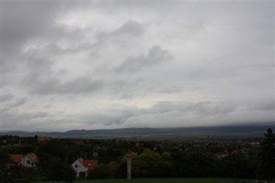 IMG 2446