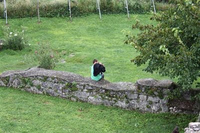 IMG 2449