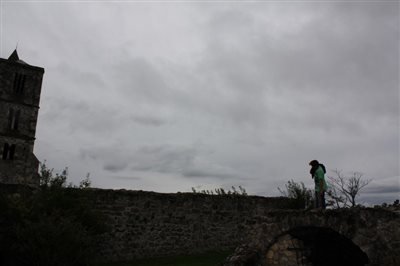 IMG 2459