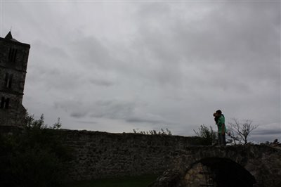 IMG 2460