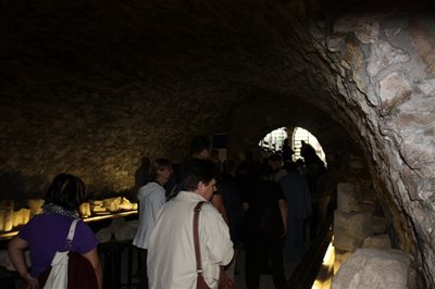 IMG 2461