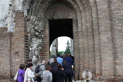 IMG 2472